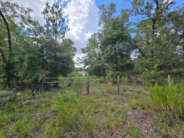 TBD NE 77th Ln, Bronson, FL 32621 - photo 1