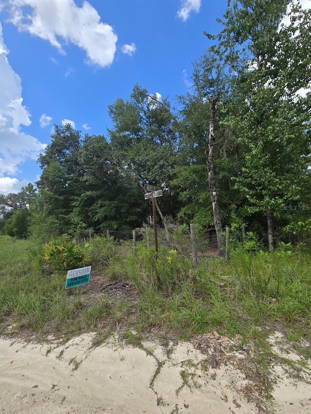 TBD NE 77th Ln, Bronson, FL 32621 - photo 2