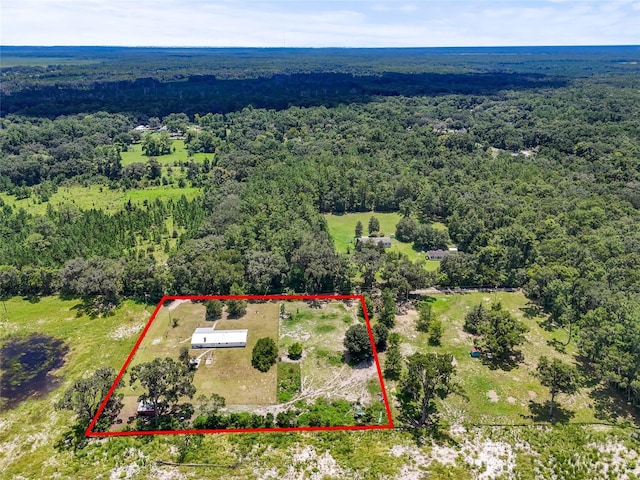 5502 SW 57th Ave, Gainesville, FL 32608 - photo 1
