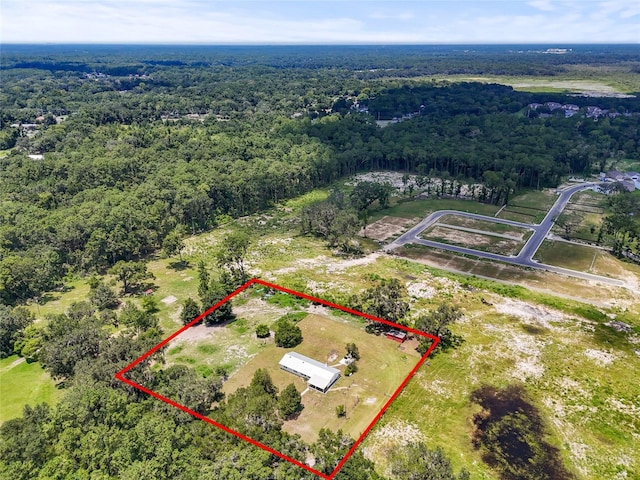 5502 SW 57th Ave, Gainesville, FL 32608 - photo 42