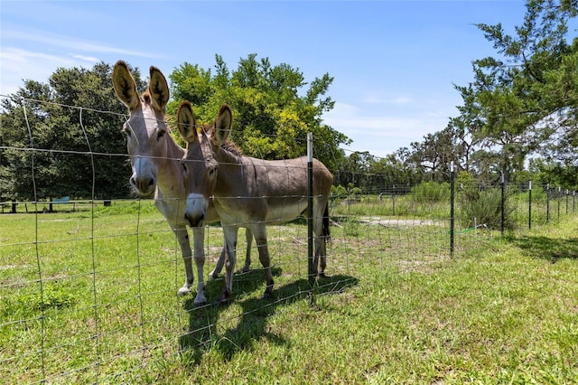 5502 SW 57th Ave, Gainesville, FL 32608 - photo 45