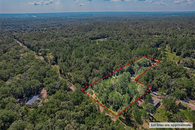 TBD NE 83rd Ln, Bronson, FL 32621 - photo 1