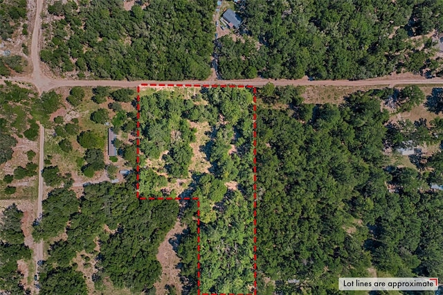 TBD NE 83rd Ln, Bronson, FL 32621 - photo 2