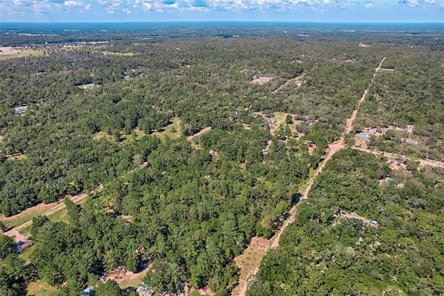 TBD NE 83rd Ln, Bronson, FL 32621 - photo 3