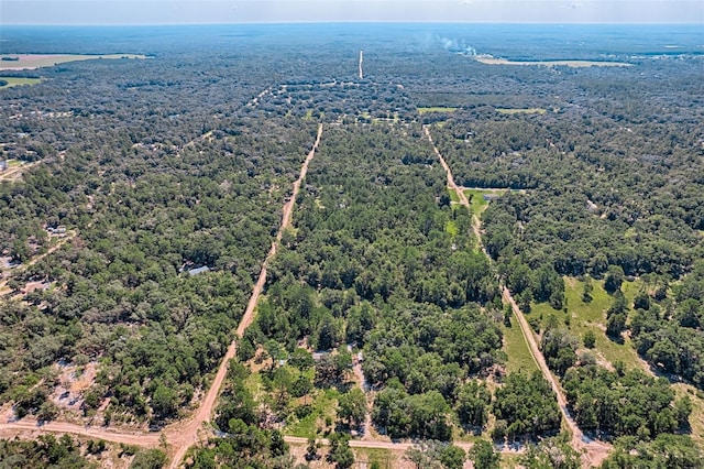 TBD NE 83rd Ln, Bronson, FL 32621 - photo 4