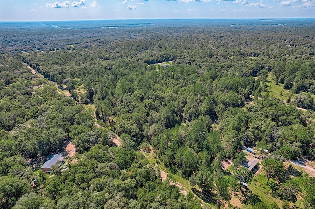 TBD NE 83rd Ln, Bronson, FL 32621 - photo 5