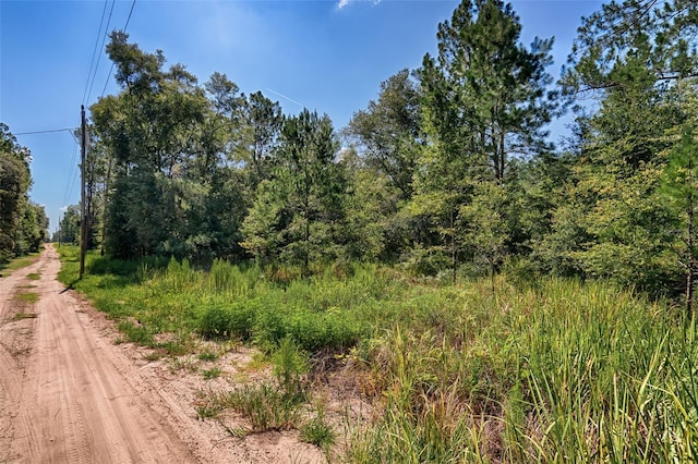 TBD NE 83rd Ln, Bronson, FL 32621 - photo 7