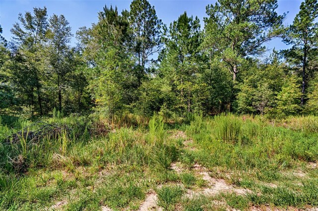 TBD NE 83rd Ln, Bronson, FL 32621 - photo 8
