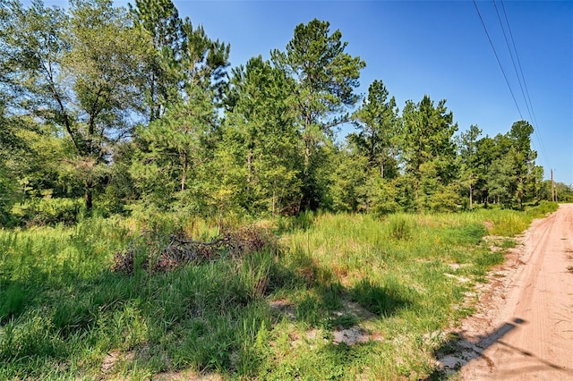 TBD NE 83rd Ln, Bronson, FL 32621 - photo 9