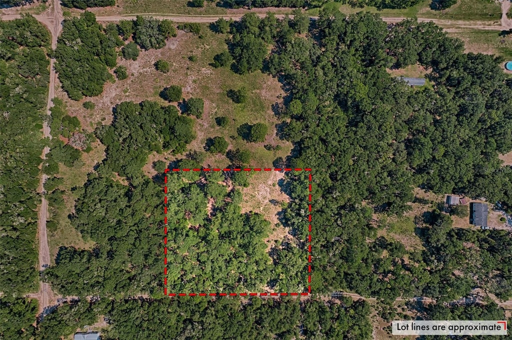 NE 81st St, Bronson, FL 32621 - photo 1