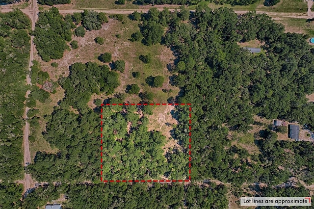 NE 81st St, Bronson, FL 32621 - photo 1