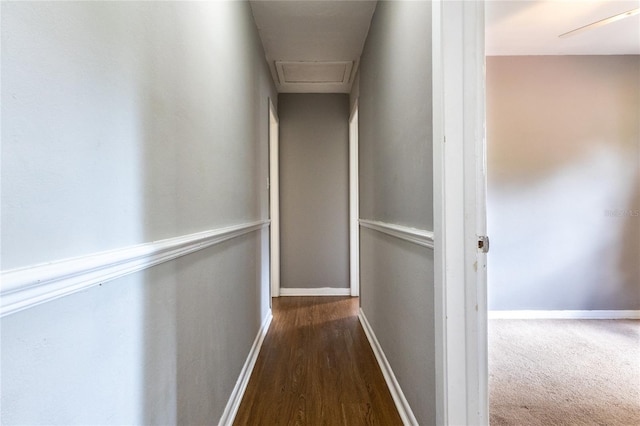 3509 NW 17th Ter, Gainesville, FL 32605 - photo 27