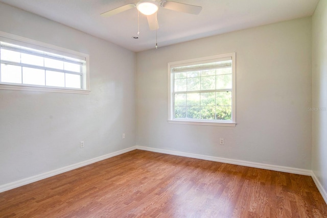 10715 SW 24th Ave, Gainesville, FL 32607 - photo 21