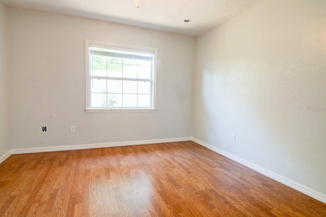 10715 SW 24th Ave, Gainesville, FL 32607 - photo 23