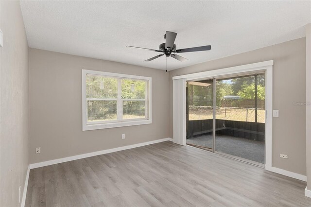 919 SE 19th St, Gainesville, FL 32641 - photo 5