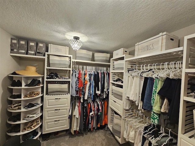 walk in closet with a chandelier and dark colored carpet