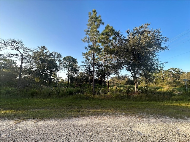 402 Azalea Dr, Indian Lake Estates FL, 33855 land for sale