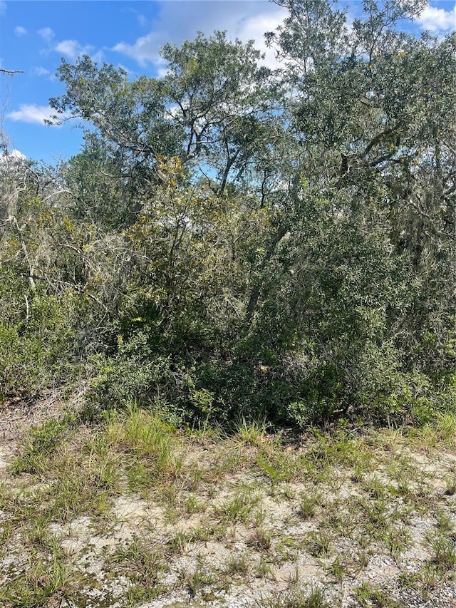 Deer Rd, Frostproof FL, 33843 land for sale