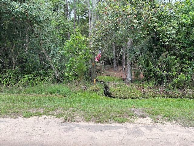 Listing photo 3 for LOT19 Reagan Blvd, Lake Wales FL 33898