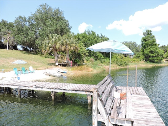 dock area with a water view