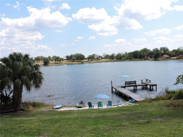 dock area with a water view and a yard