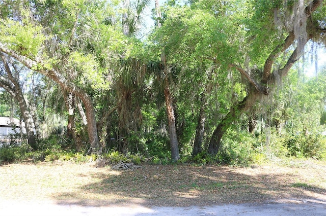 Ixmel Ave, Lake Wales FL, 33898 land for sale