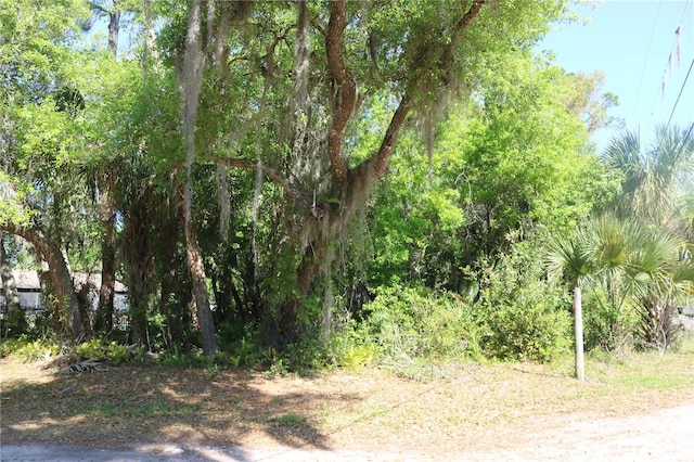 Listing photo 2 for Ixmel Ave, Lake Wales FL 33898