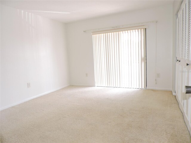 empty room featuring carpet