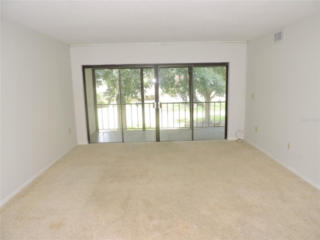 spare room featuring a wealth of natural light and carpet floors