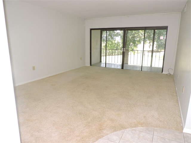 unfurnished room featuring carpet