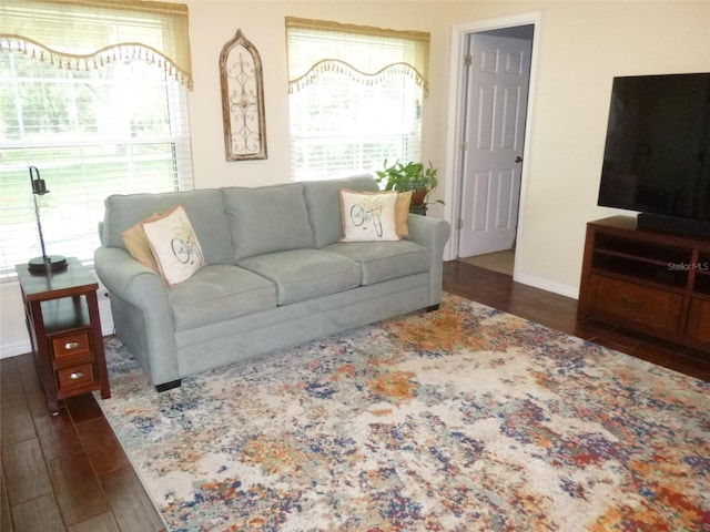 living room featuring dark hardwood / wood-style floors