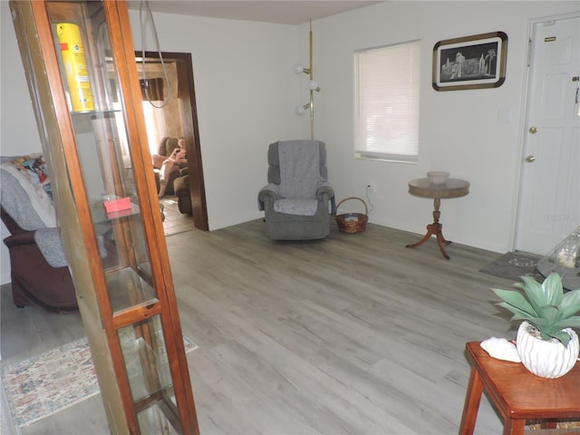 living area with light hardwood / wood-style flooring