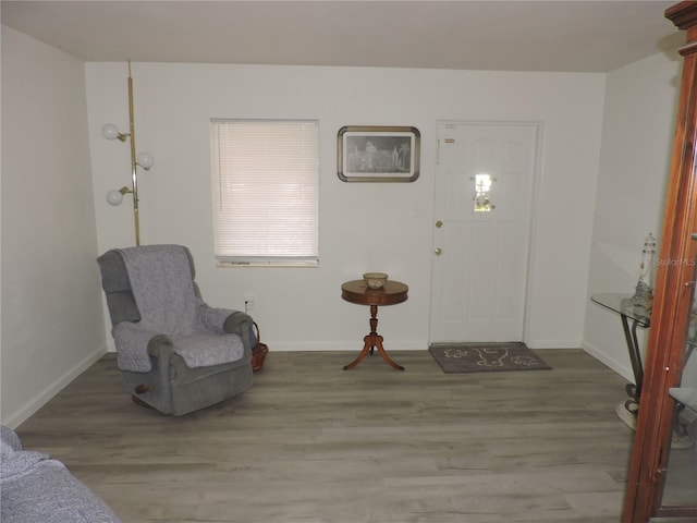 entryway featuring hardwood / wood-style floors