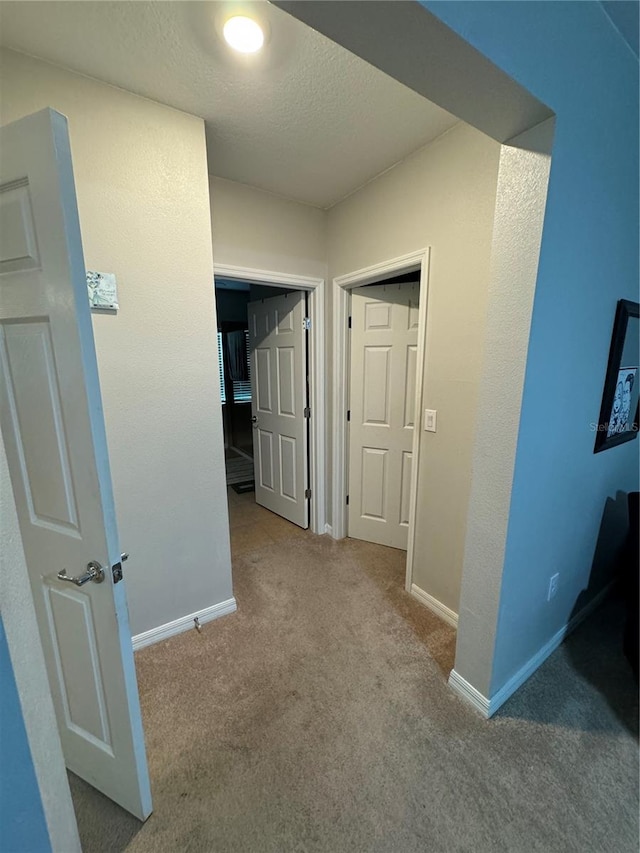 hall featuring carpet and a textured ceiling