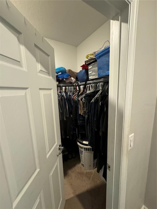 walk in closet featuring carpet flooring