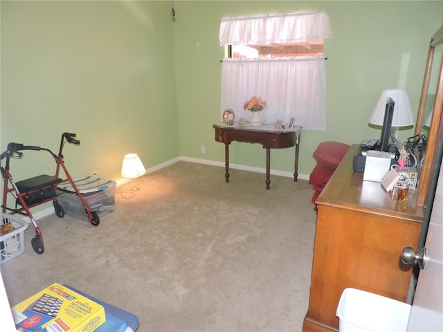 office space with light colored carpet