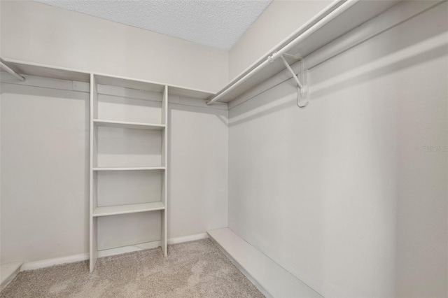 walk in closet with light colored carpet