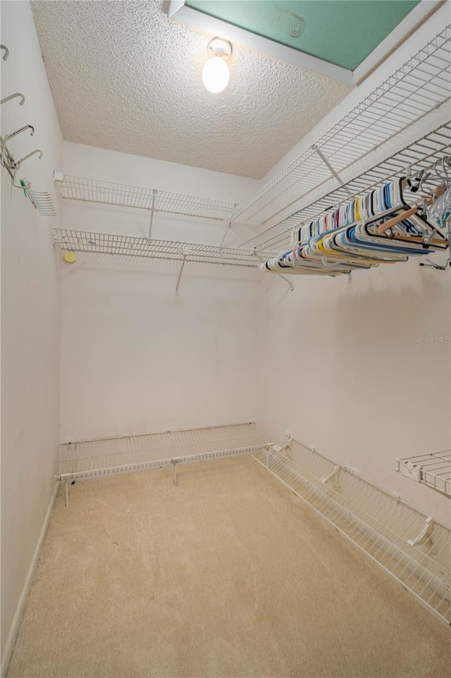 spacious closet featuring carpet flooring