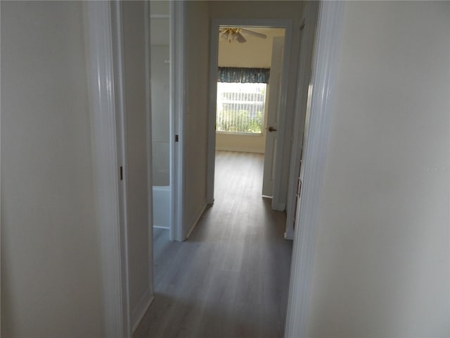 hallway featuring light wood-type flooring