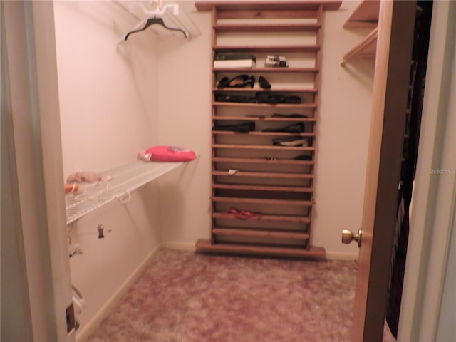 walk in closet with carpet floors