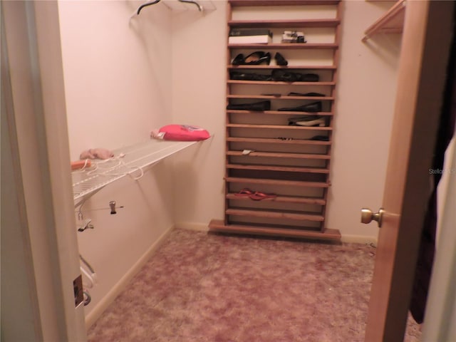 spacious closet featuring carpet flooring