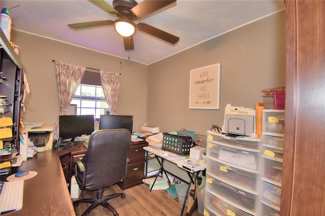 office space with light hardwood / wood-style floors and ceiling fan