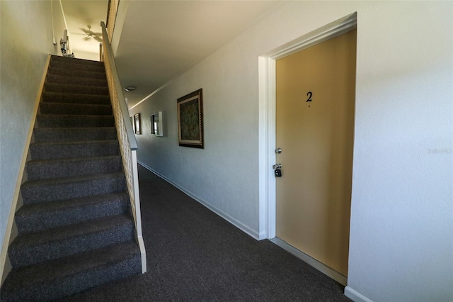 711 Springer Dr Unit 2, Lake Wales, FL 33853 - staircase with carpet floors and baseboards