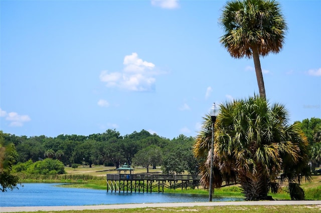 711 Springer Dr Unit 2, Lake Wales, FL 33853 - water view