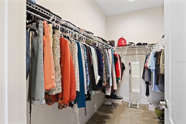 spacious closet featuring carpet