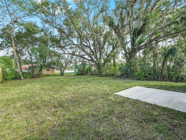 view of yard with a patio area