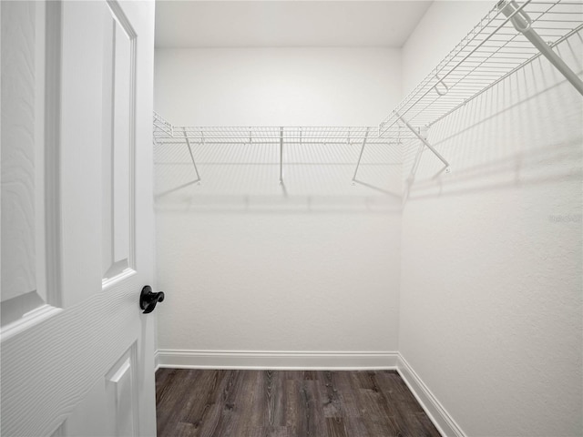 815 S Seminole Ave, Fort Meade, FL 33841 - walk in closet featuring dark wood finished floors