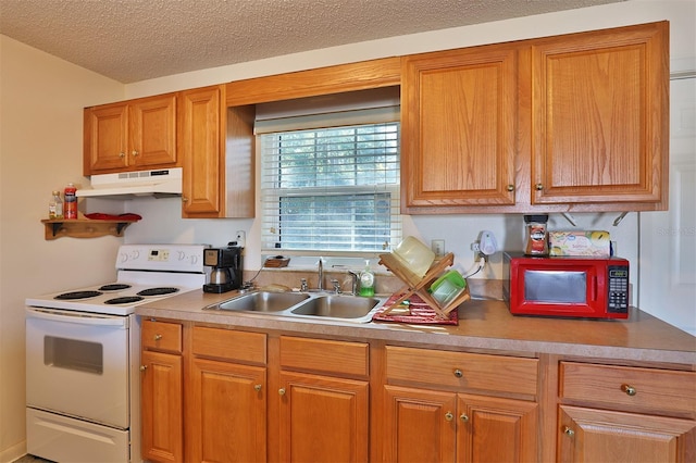 kitchen with sink, white electric stove, and a textured ceiling