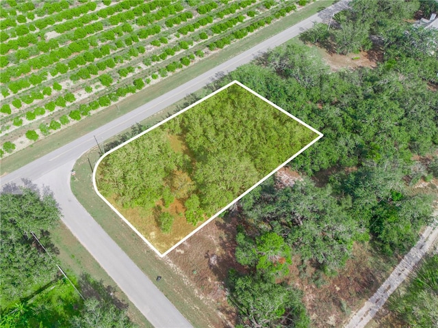 Listing photo 3 for 2859 W County Line Rd, Avon Park FL 33825