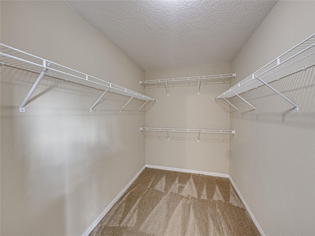 walk in closet featuring carpet flooring